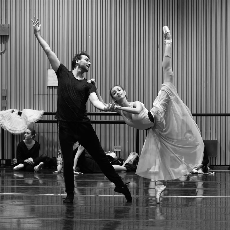 Ensayo
