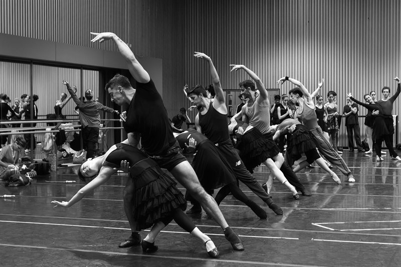 Ensayo