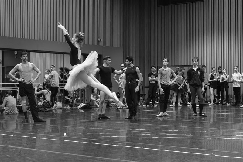 Ensayo