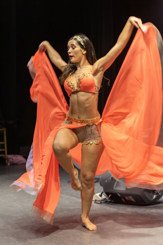Show Fin de Año