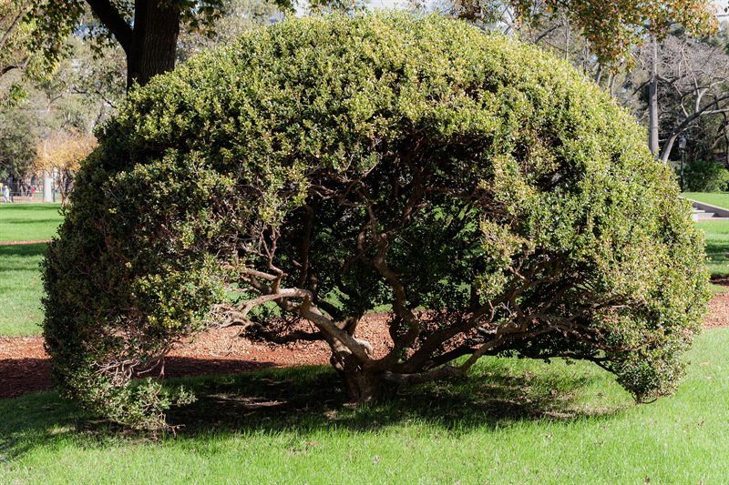 Naturaleza